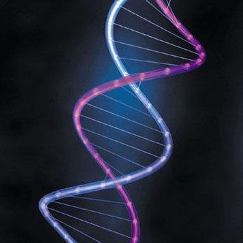 Oamenii de ştiinţă vor introducerea Premiului Nobel şi pentru cercetări din genetică sau ştiinţele mediului