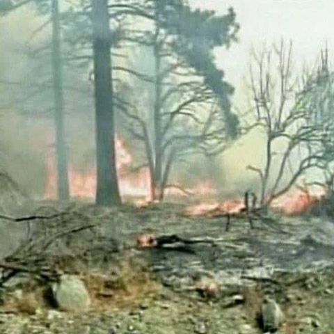 Un nou incendiu de vegetaţie ameninţă California