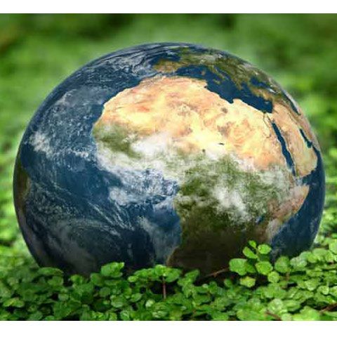 Cea mai mare scădere a emisiei de noxe din ultimii 40 de ani s-a înregistrat anul acesta