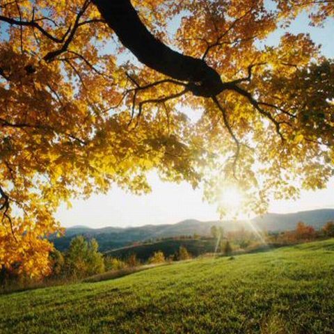 Revin temperaturile ridicate - VEZI PROGNOZA METEO