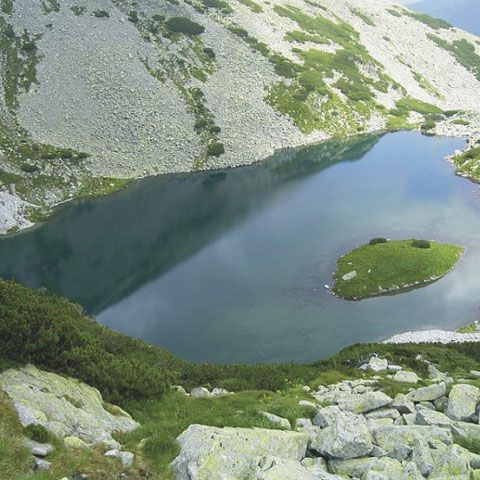 România are proces la Curtea Europeană de Justiţie pentru neconformarea la cerinţele europene privind ariile protejate