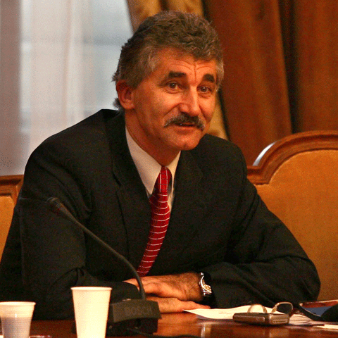 PD-L va cere ca solicitarea preşedintelui pentru referendum să fie avizată astăzi de plenul Parlamentului