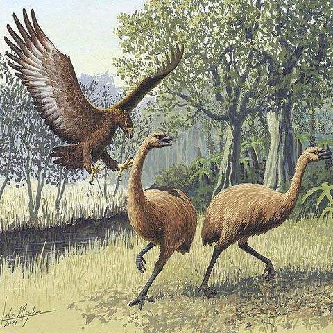 Monştrii dispăruţi ai cerului