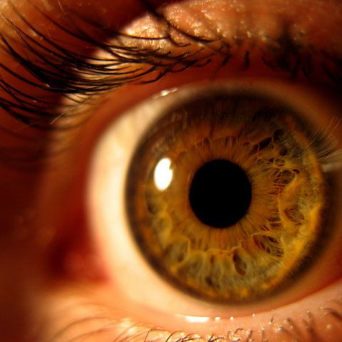 Atropina nu se mai găseşte în  farmaciile din Gorj