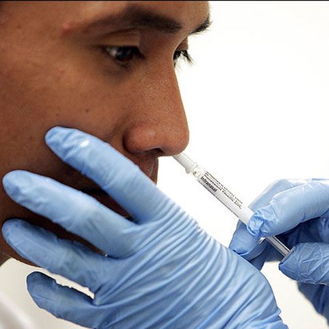 La Iaşi a fost confirmat al 14-lea caz de gripă porcină în focarul de la Gaudeamus