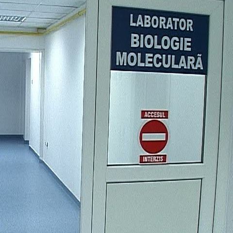 O treime din bolnavii de leucemie mieloidă cronică nu fac tratament 