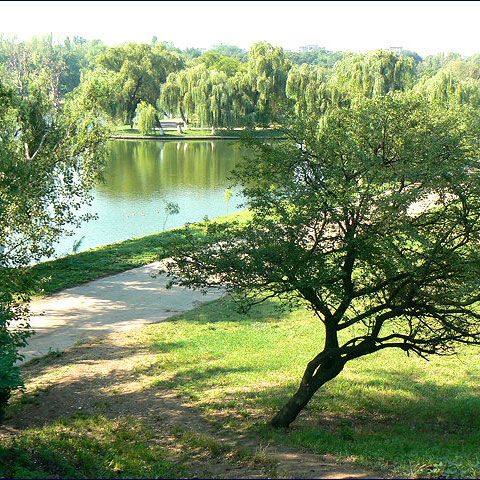 Cheltuielile pentru protecţia mediului la nivel naţional au fost de 14,3 miliarde lei în 2008