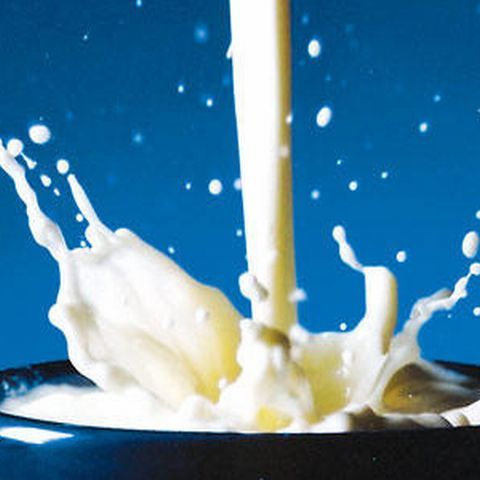 România este printre ţările Uniunii Europene care au livrat mai puţin lapte decât cota alocată pentru 2008-2009