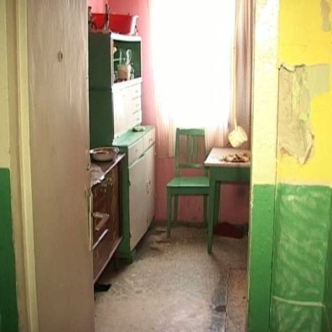 Zeci de oameni din comuna Băgaciu, judeţul Mureş, trăiesc printre gunoaie şi câini maidanezi