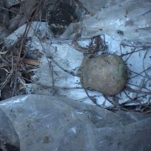 Un gropar din Buzău a vândut schelete umane unor ziarişti care s-au dat drept studenţi