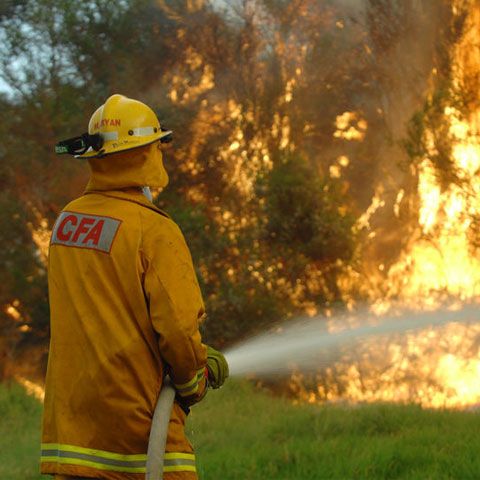 Situaţie de urgenţă în Australia, după ce incendiile de vegetaţie au scăpat de sub control