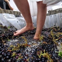 Doljenii au sărbătorit zaibărul şi prazul la Băileşti