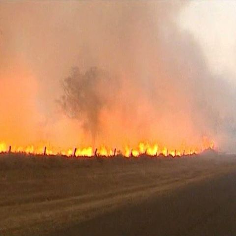 Incendiile de vegetaţie ameninţă în continuare statul Queensland din Australia
