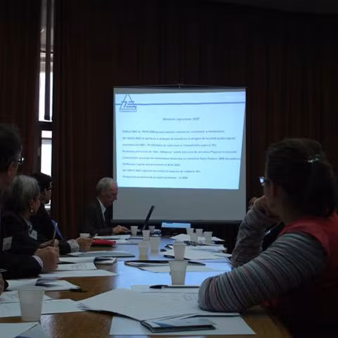 DINASTIILE: Cumetriile din Compania Naţională Transelectrica