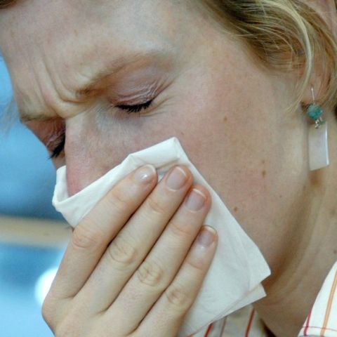 Au apărut încă 24 de cazuri de gripă porcină în România