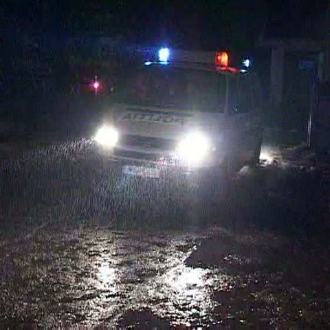 O reţea de falsificatori de acte a fost prinsă de poliţia din Moreni