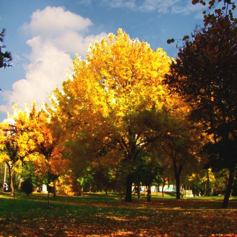 Urmează câteva zile de vreme frumoasă şi temperaturi ridicate. VEZI PROGNOZA