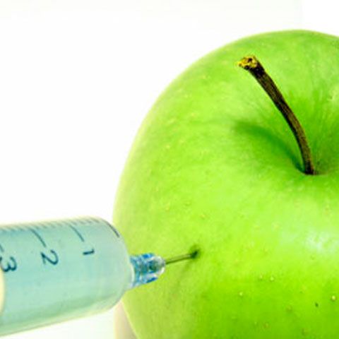 Laureatul Premiului Nobel Alternativ a avertizat România asupra contaminării cu OMG