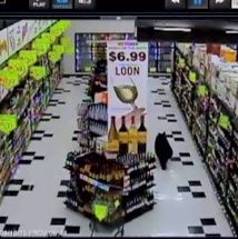 Un urs s-a ascuns în frigiderul cu bere!