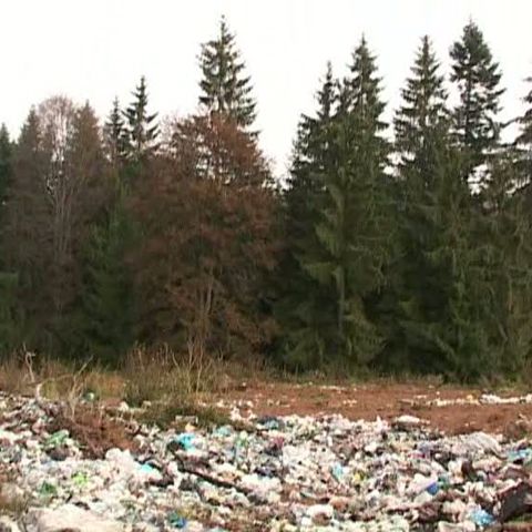 Pe malurile Mureşului sunt aruncate la întâmplare tone de gunoaie 