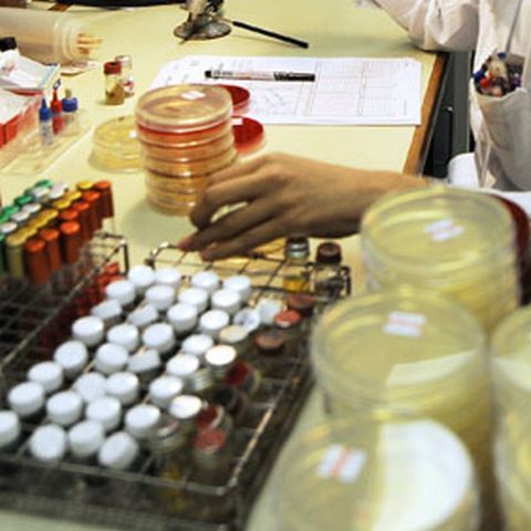 La şcoala 146 din Bucureşti nu sunt, deocamdată, alte suspiciuni de infectare cu virusul A/H1N1