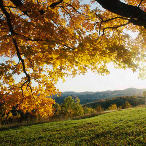 Frigul toamnei ia o pauza de câteva zile - VEZI PROGNOZA METEO