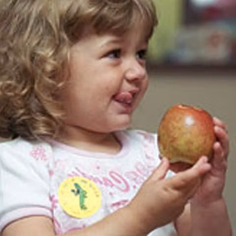 Procesul educaţional din creşe, una dintre priorităţile programului de guvernare anunţat de Croitoru