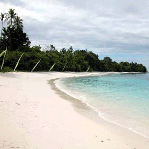 Cutremur cu magnitudinea de 7,3 pe scara Richter în Indonezia