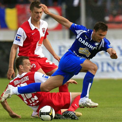 Liga I / Dinamo - Gloria Bistriţa 1 - 1 (final), în etapa a 11-a
