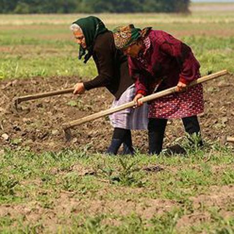 Agricultorii şi fermierii din Vrancea, la un pas de faliment