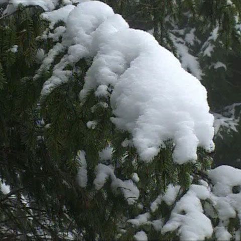 Ofertele turistice de Revelion sunt pentru toate buzunarele 