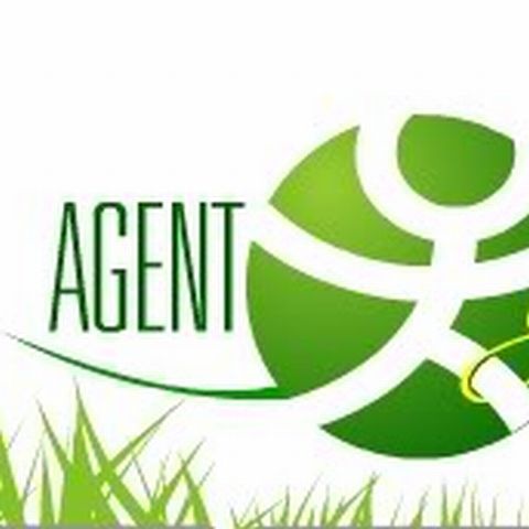 Două organizaţii de mediu au făcut 70 de sesizări de crime ecologie prin campania Agent 00green