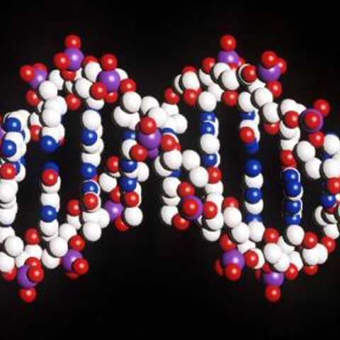 Justiţia italiană a redus pedeapsa unui criminal pentru că e "predispus genetic" la un comportament agresiv