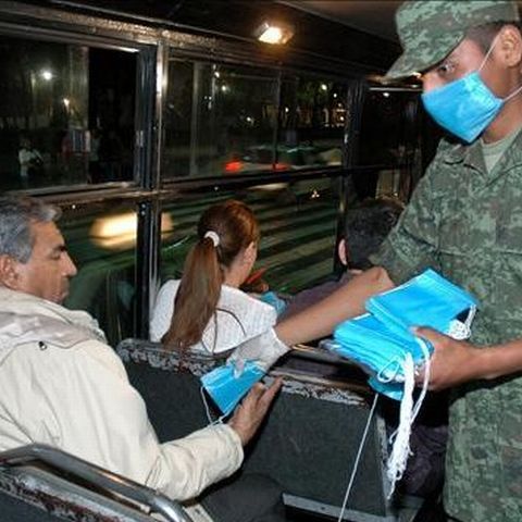 Un european din trei va fi afectat de gripa porcină