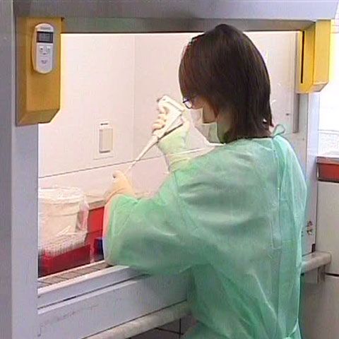 Cinci şcoli au fost închise în Bulgaria din cauza gripei H1N1