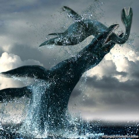 Un craniu uriaş descoperit în Anglia face din pliosaur cea mai mare reptilă marină din istorie. VEZI FOTO