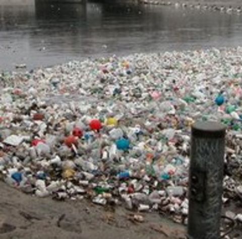 Cinci tone de peturi au fost scoase din lacul de acumulare Goleşti, Argeş