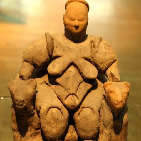 Teoria evoluţiei spune că femeile robuste şi plinuţe sunt reprezentative pentru specia umană