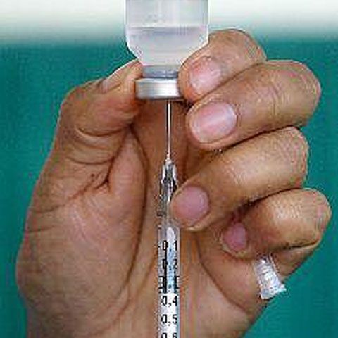 O regiune din Bulgaria a decretat epidemie de gripă porcină