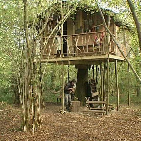 Un britanic locuieşte de câteva luni într-o casă în copac 