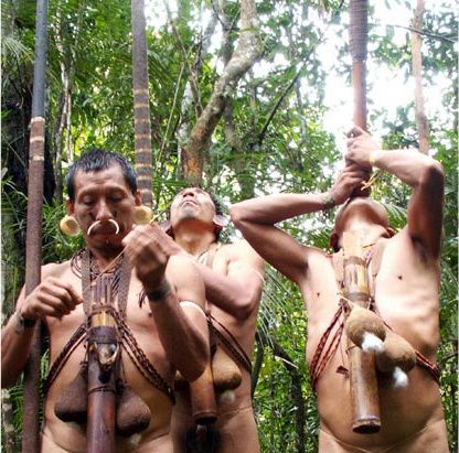 Un trib a găsit supravieţuitorii unui accident aviatic, în jungla amazoniană