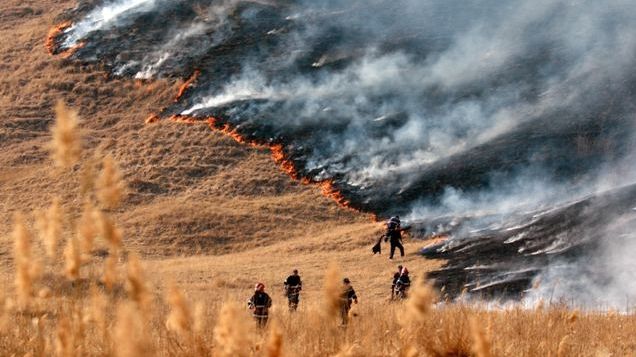 Incendiu de vegetaţie la ieşirea din oraşul Suceava 
