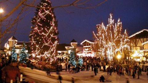 România importă deja brazi pentru Crăciun