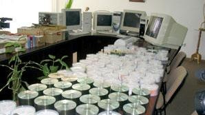 Orădence care au făcut copii ilegale unor programe pentru calculator cercetate de poliţişti