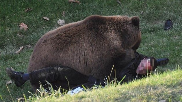 Un bărbat a sărit în cuşca unui urs, dar animalul luptă acum pentru viaţă - IMAGINI ŞOCANTE