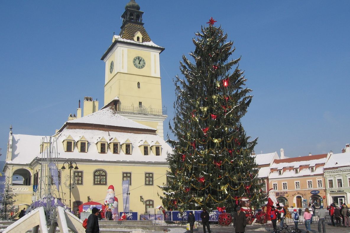 Bradul de Crăciun din centrul Braşovului a fost adus din Poiană şi montat