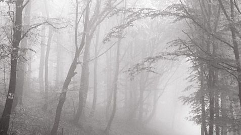 Vizibilitatea a fost scăzută pe Autostrada A2 din cauza ceţii dense