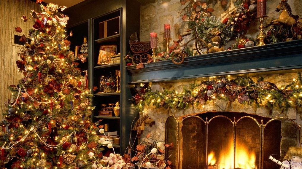 Romsilva va vinde în acest an 123.600 de pomi de Crăciun, cel mai scump fiind de 30 lei, fără TVA