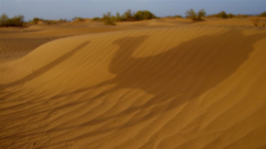 Big Brother ecologic în Sahara