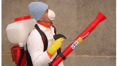 La Cluj, după vot, şcolile şi grădiniţele au fost dezinfectate